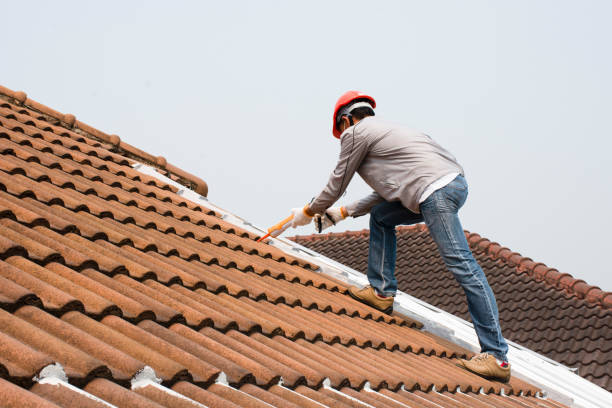 Best Rubber Roofing (EPDM, TPO)  in Willacoochee, GA