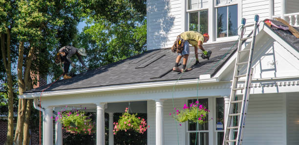Best Metal Roofing Installation  in Willacoochee, GA